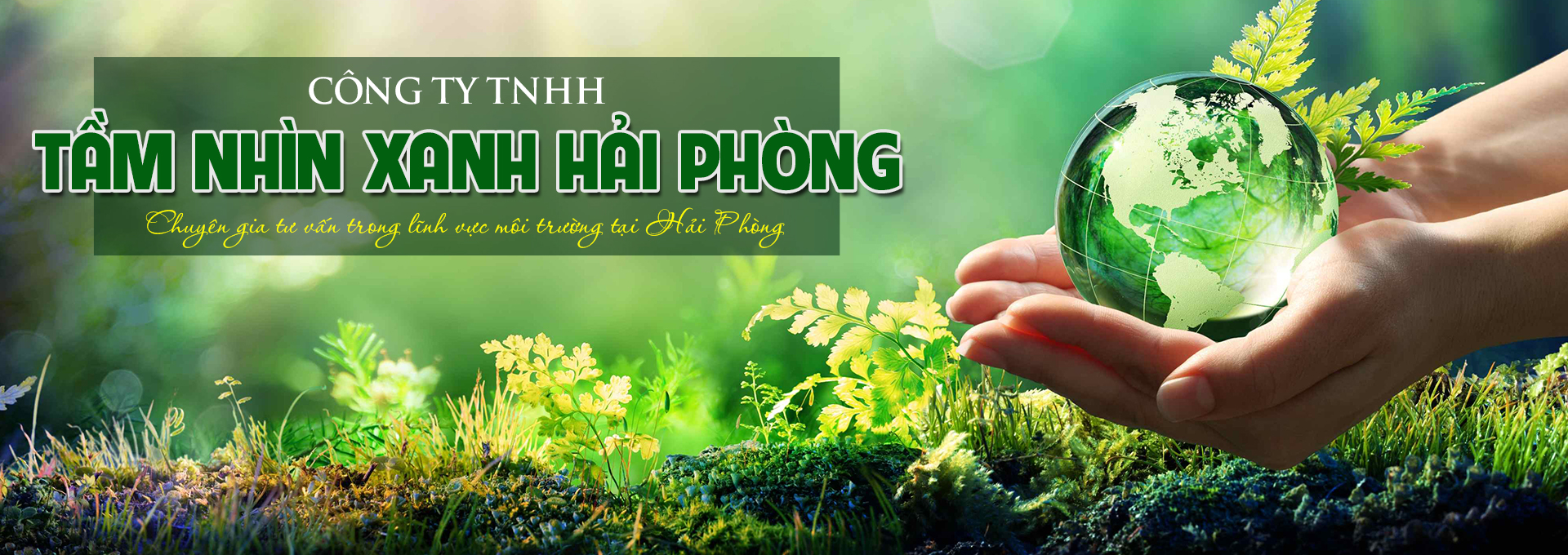 CÔNG TY TNHH TẦM NHÌN XANH HẢI PHÒNG